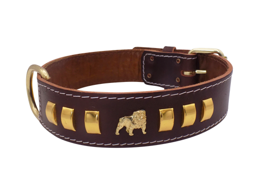 1.5" wide Leather Dog Collar with Unique Gold Design and English Bulldog Badges