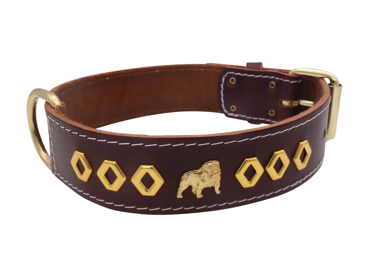 1.5" wide Leather Dog Collar with Unique Gold Design and English Bulldog Badges