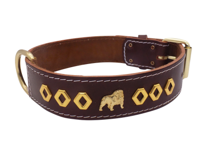 1.5" wide Leather Dog Collar with Unique Gold Design and English Bulldog Badges
