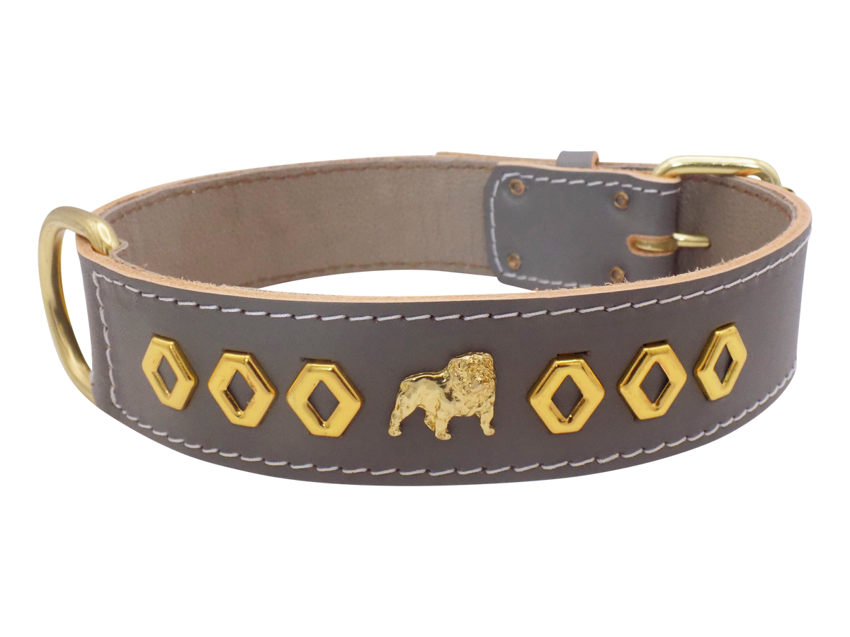 1.5" wide Leather Dog Collar with Unique Gold Design and English Bulldog Badges