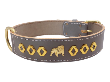 1.5" wide Leather Dog Collar with Unique Gold Design and English Bulldog Badges