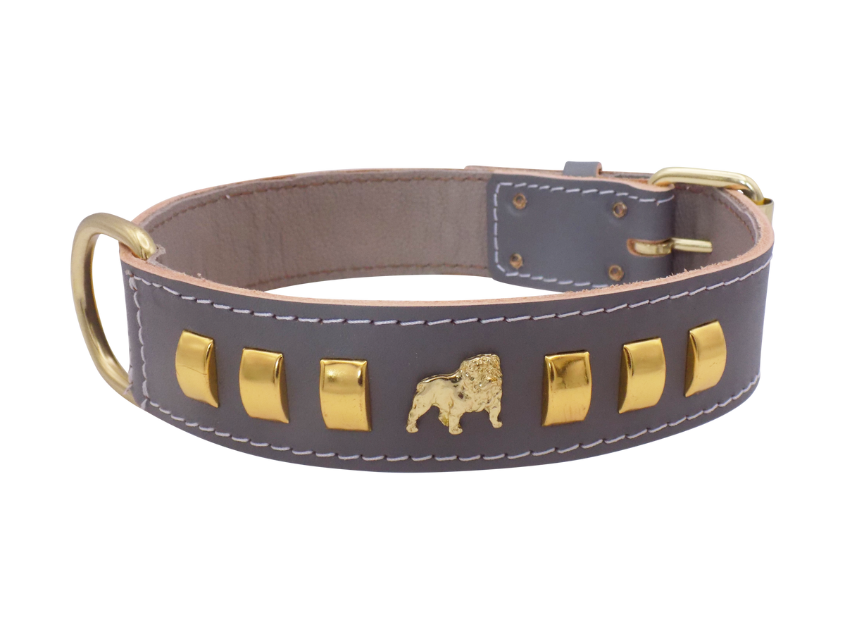1.5" wide Leather Dog Collar with Unique Gold Design and English Bulldog Badges