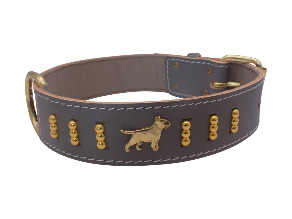 1.5" wide Leather Dog Collar with Decorative Gold Design and English Bull Terrier Badges