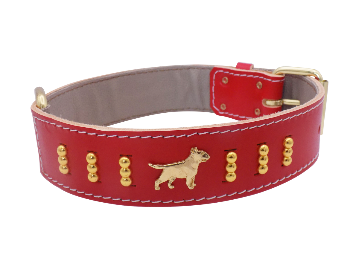 1.5" wide Leather Dog Collar with Decorative Gold Design and English Bull Terrier Badges