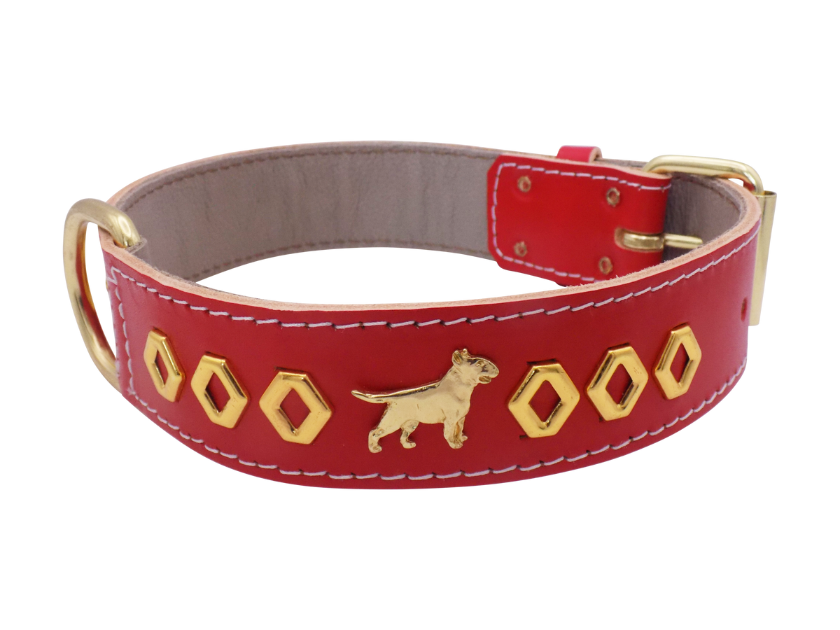 1.5" wide Leather Dog Collar with Decorative Gold Design and English Bull Terrier Badges