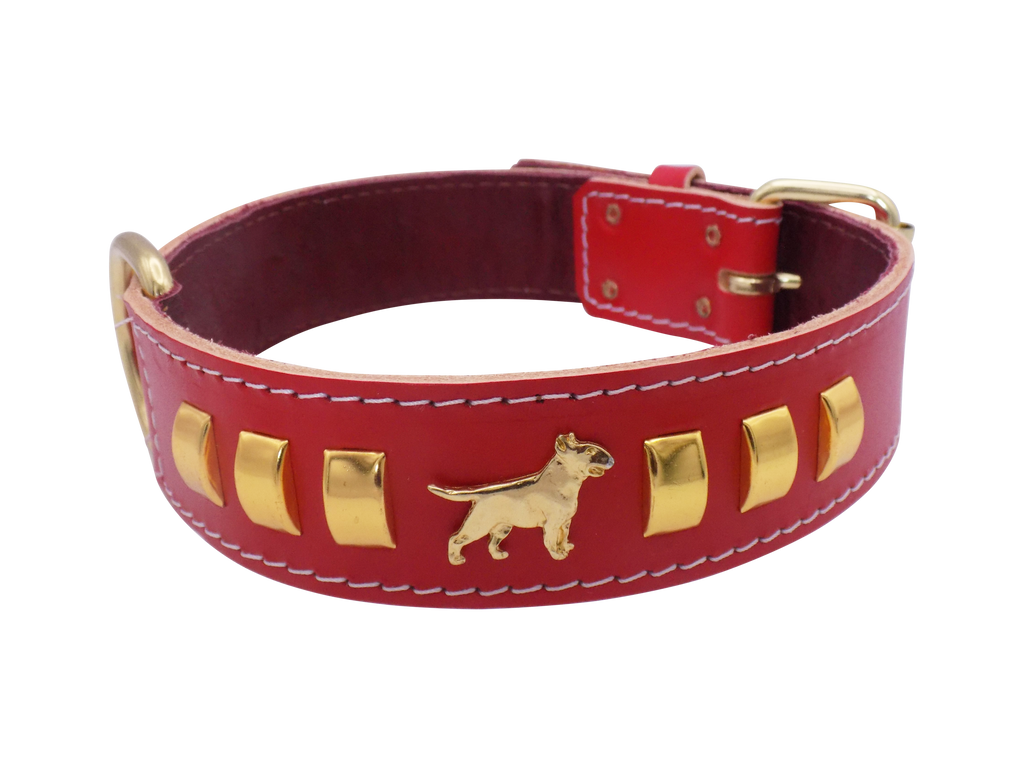 1.5" wide Leather Dog Collar with Decorative Gold Design and English Bull Terrier Badges