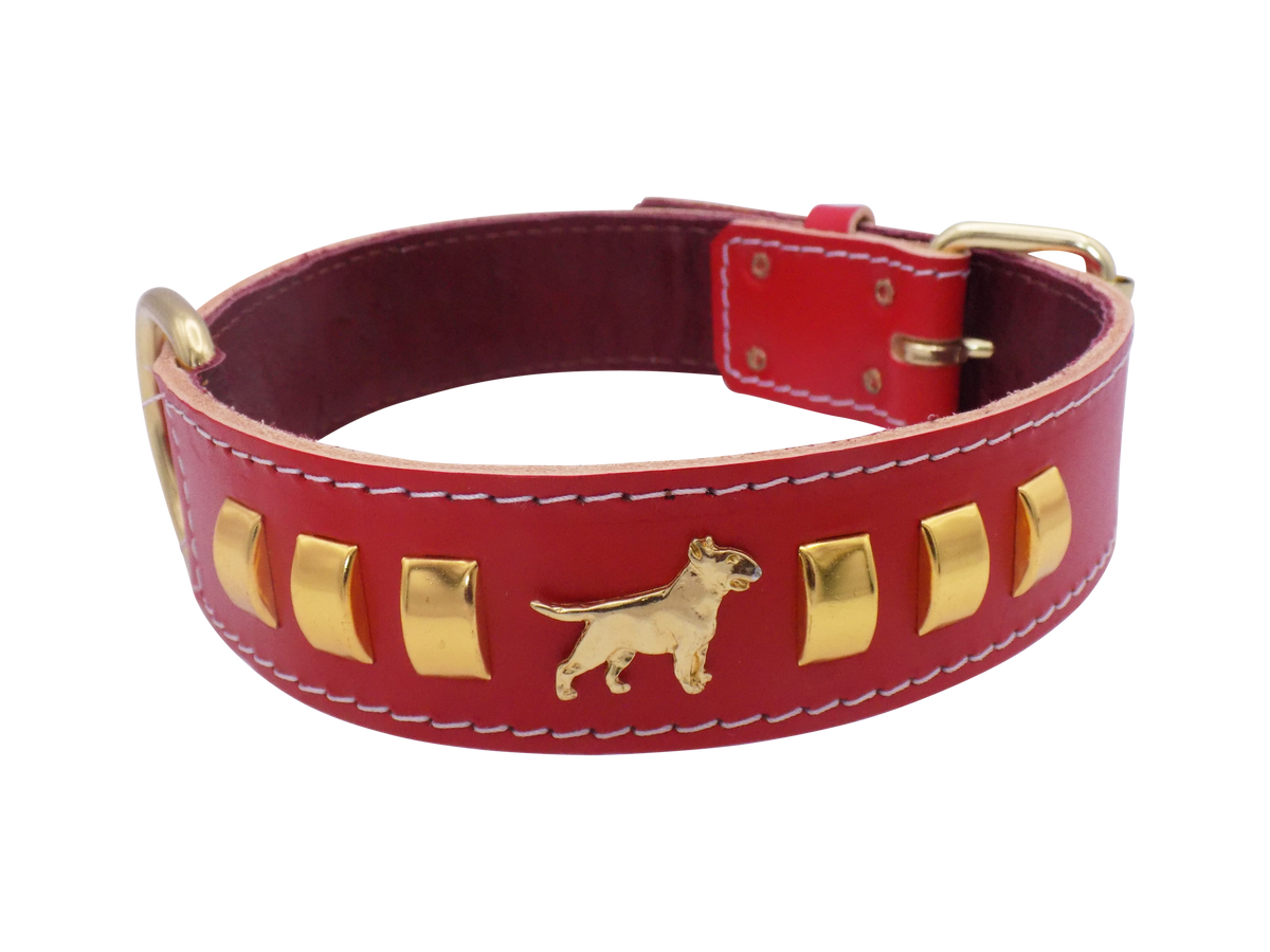 1.5" wide Leather Dog Collar with Decorative Gold Design and English Bull Terrier Badges