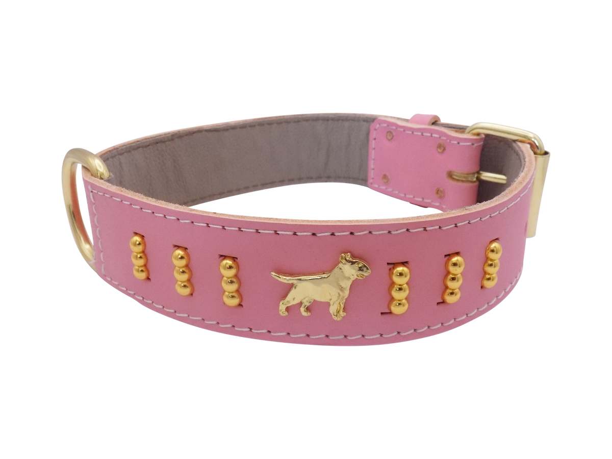 1.5" wide Leather Dog Collar with Decorative Gold Design and English Bull Terrier Badges