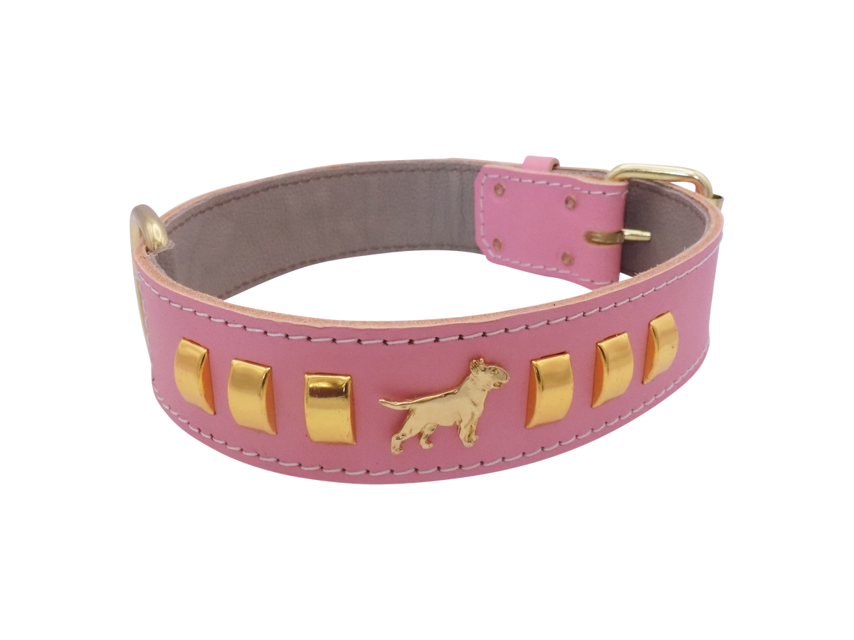 1.5" wide Leather Dog Collar with Decorative Gold Design and English Bull Terrier Badges