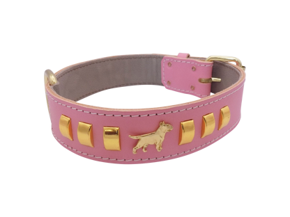 1.5" wide Leather Dog Collar with Decorative Gold Design and English Bull Terrier Badges