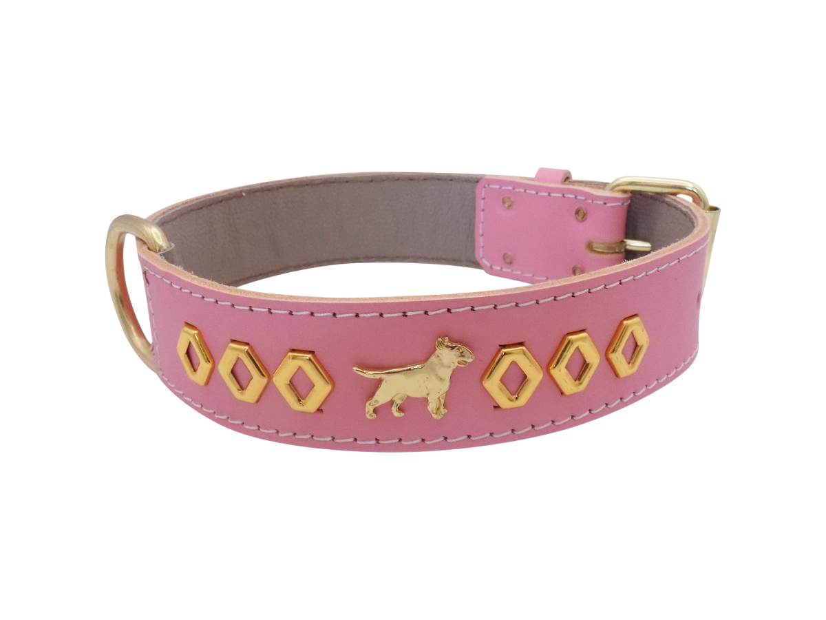 1.5" wide Leather Dog Collar with Decorative Gold Design and English Bull Terrier Badges