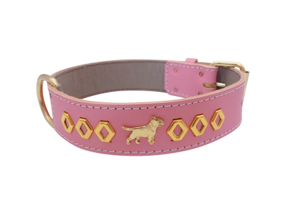 1.5" wide Leather Dog Collar with Decorative Gold Design and English Bull Terrier Badges