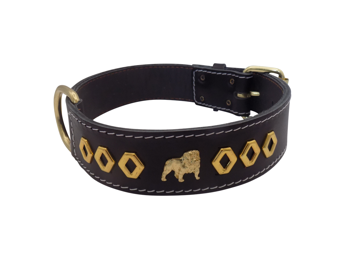 1.5" wide Leather Dog Collar with Unique Gold Design and English Bulldog Badges
