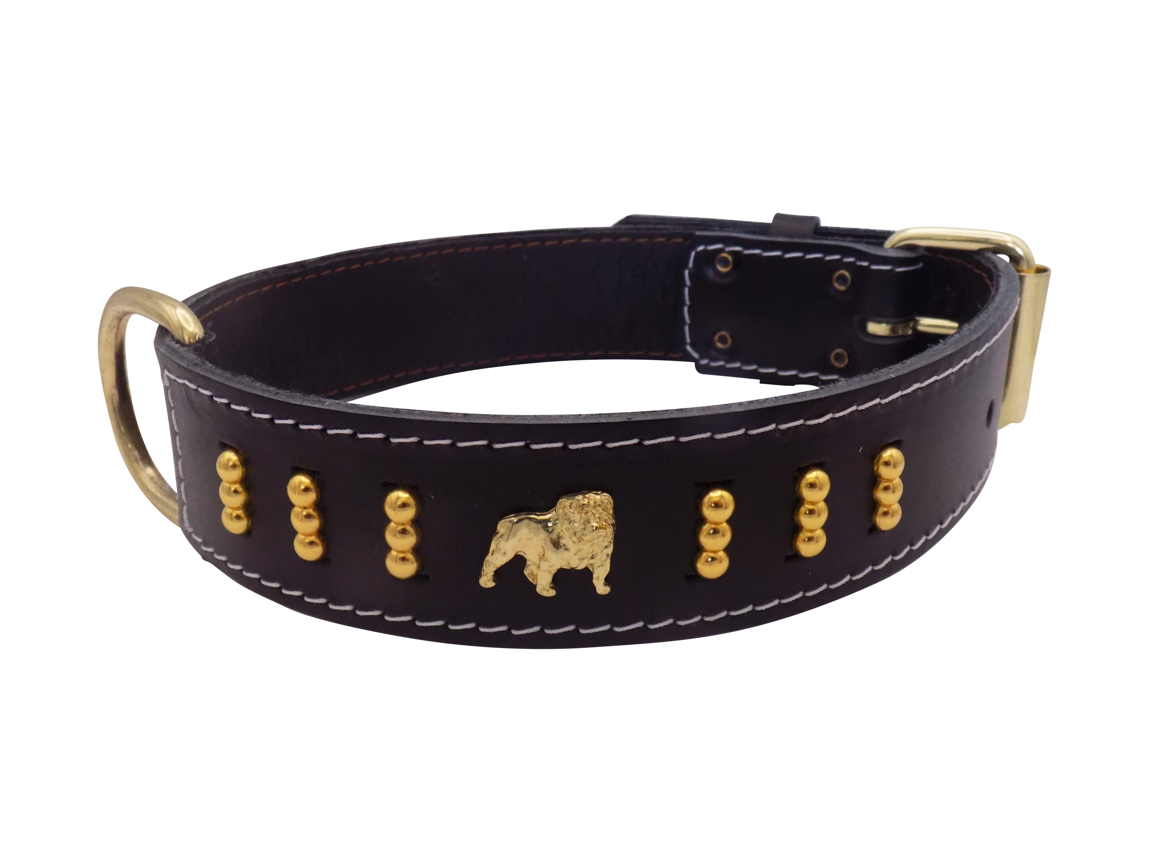 1.5" wide Leather Dog Collar with Unique Gold Design and English Bulldog Badges Style-4