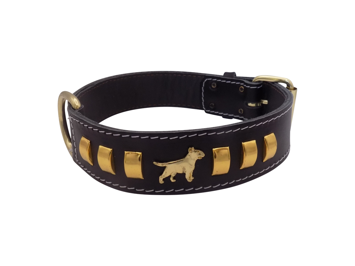 1.5" wide Leather Dog Collar with Decorative Gold Design and English Bull Terrier Badges
