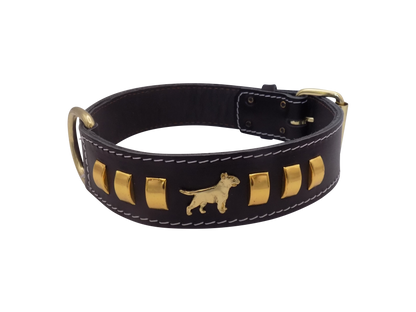 1.5" wide Leather Dog Collar with Decorative Gold Design and English Bull Terrier Badges