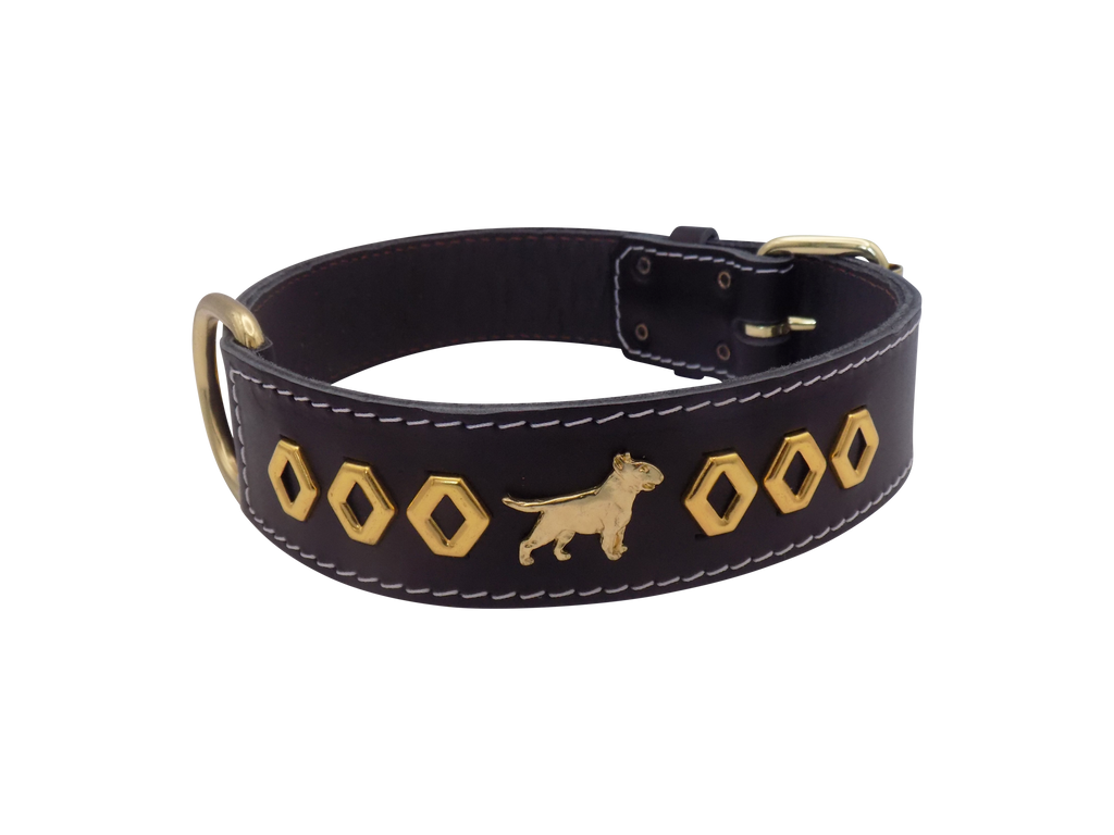1.5" wide Leather Dog Collar with Decorative Gold Design and English Bull Terrier Badges