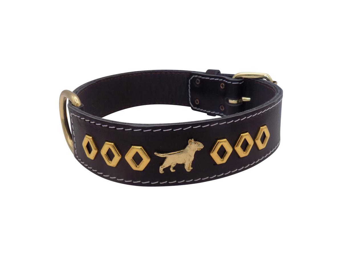 1.5" wide Leather Dog Collar with Decorative Gold Design and English Bull Terrier Badges