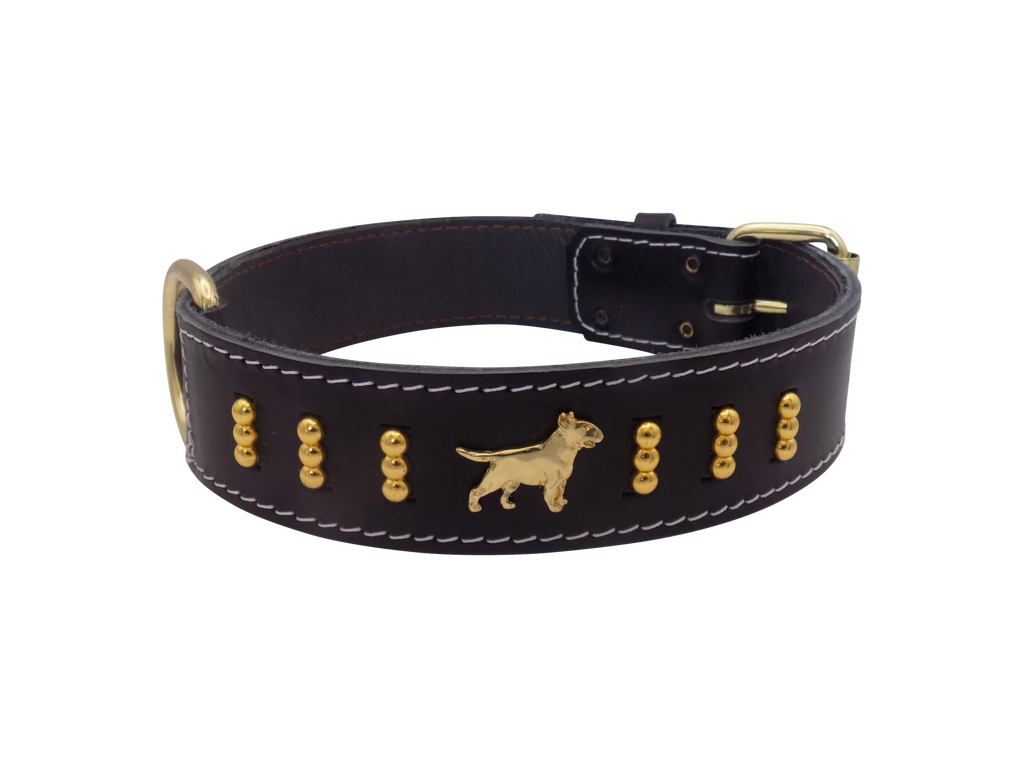 1.5" wide Leather Dog Collar with Decorative Gold Design and English Bull Terrier Badges