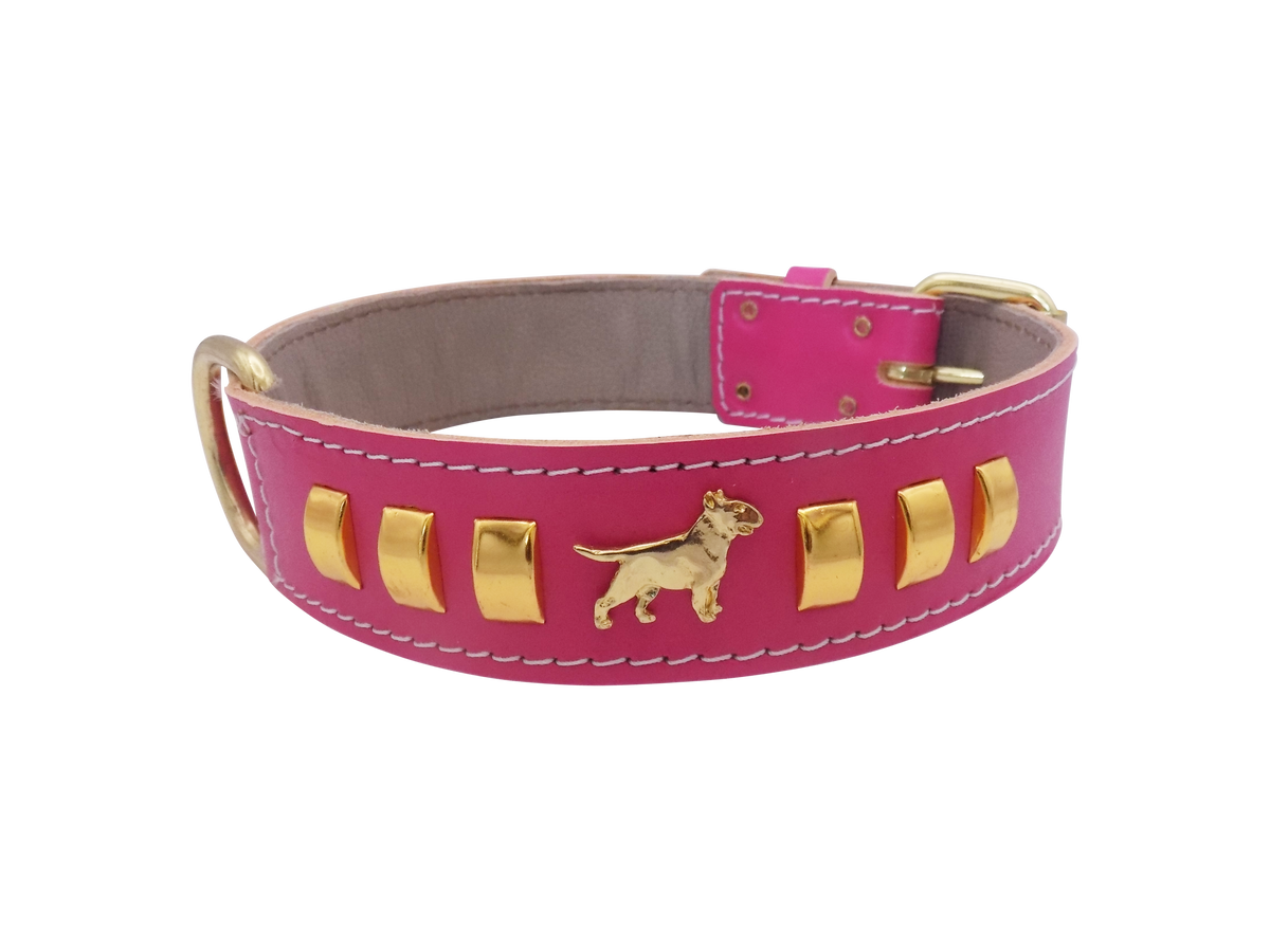 1.5" wide Leather Dog Collar with Decorative Gold Design and English Bull Terrier Badges