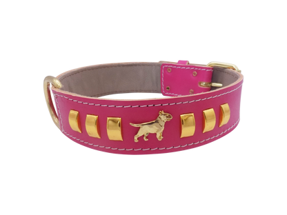 1.5" wide Leather Dog Collar with Decorative Gold Design and English Bull Terrier Badges