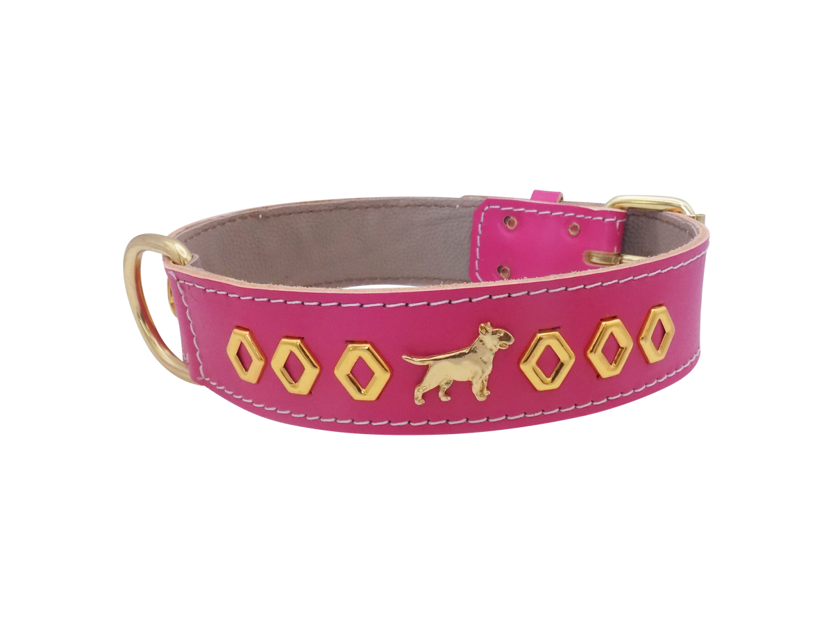 1.5" wide Leather Dog Collar with Decorative Gold Design and English Bull Terrier Badges