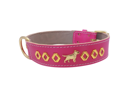 1.5" wide Leather Dog Collar with Decorative Gold Design and English Bull Terrier Badges