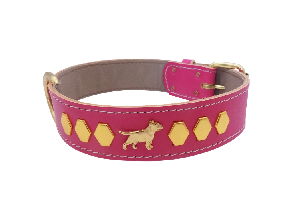 1.5" wide Leather Dog Collar with Decorative Gold Design and English Bull Terrier Badges