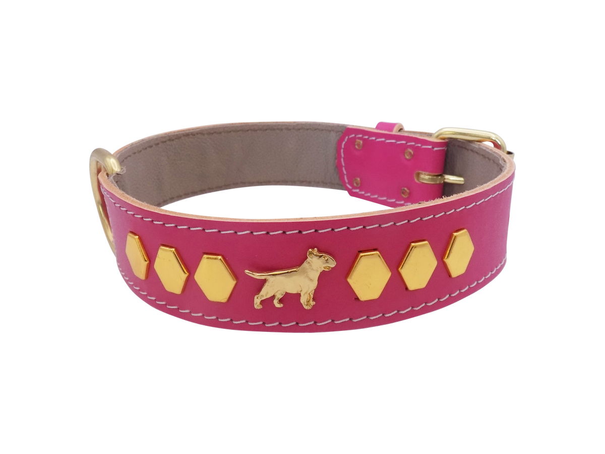 1.5" wide Leather Dog Collar with Decorative Gold Design and English Bull Terrier Badges