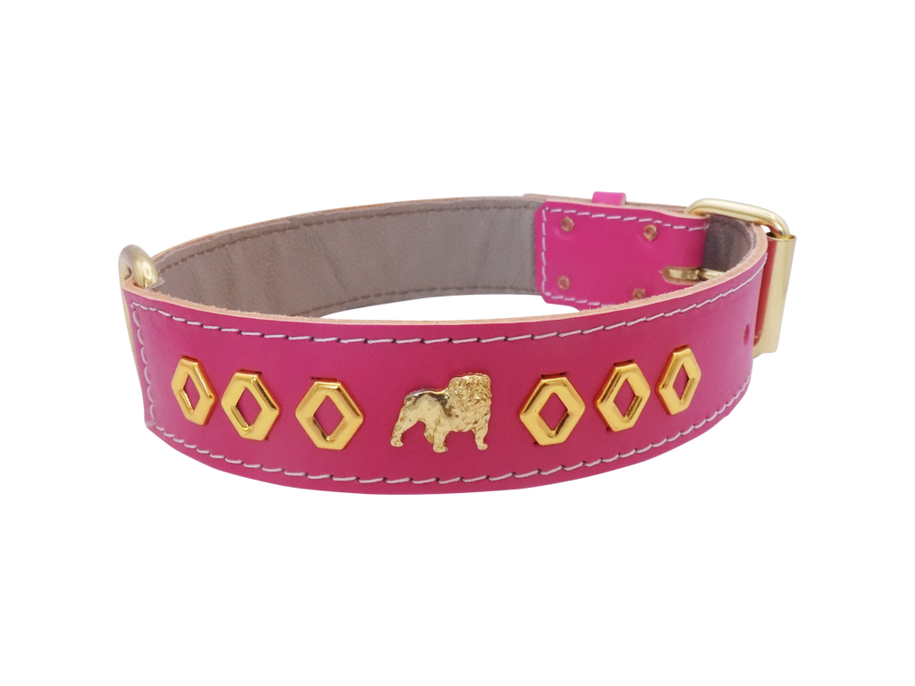 1.5" wide Leather Dog Collar with Unique Gold Design and English Bulldog Badges