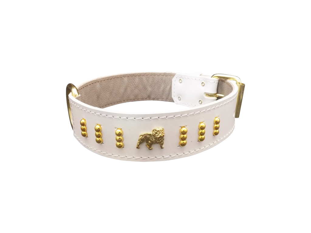 1.5" wide Leather Dog Collar with Unique Gold Design and English Bulldog Badges Style-4