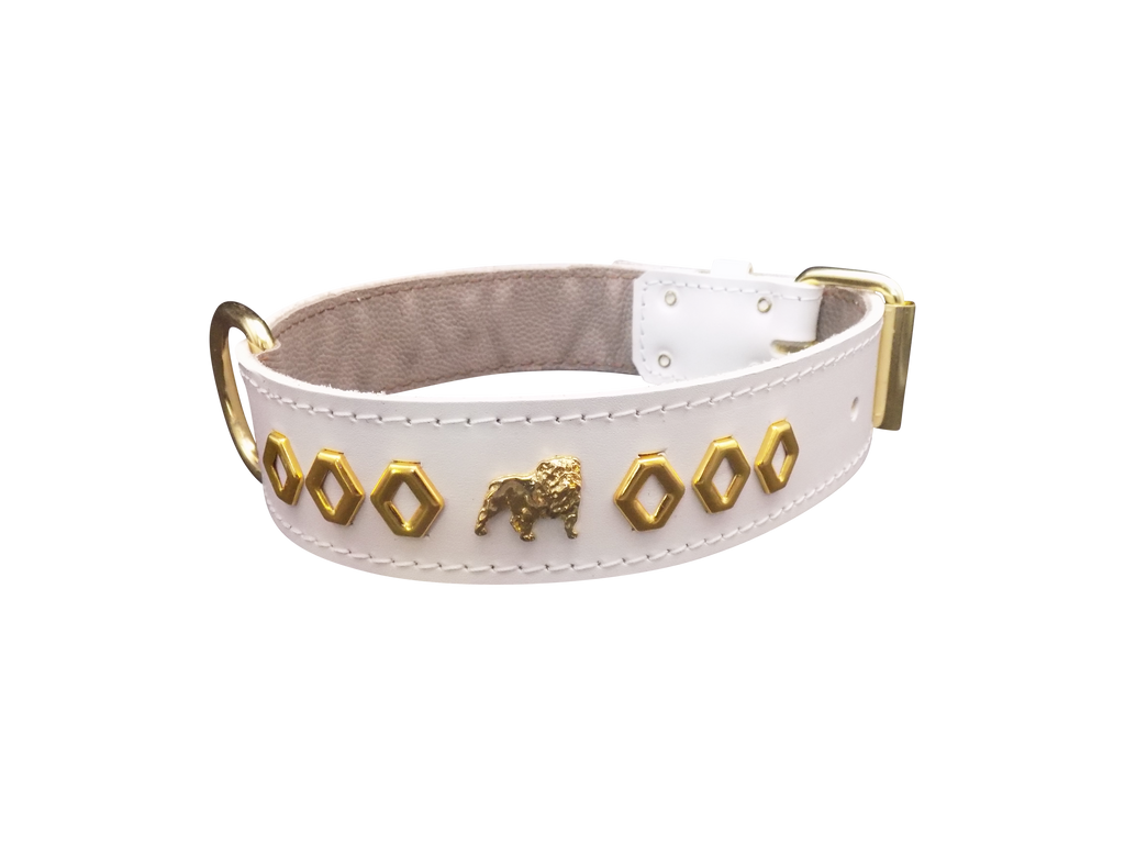 1.5" wide Leather Dog Collar with Unique Gold Design and English Bulldog Badges