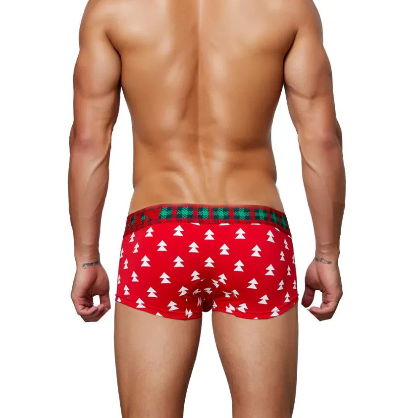 Festive Christmas Tartan Boxer Briefs