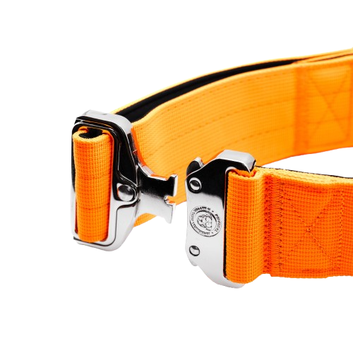 5cm Tactical Collar Orange