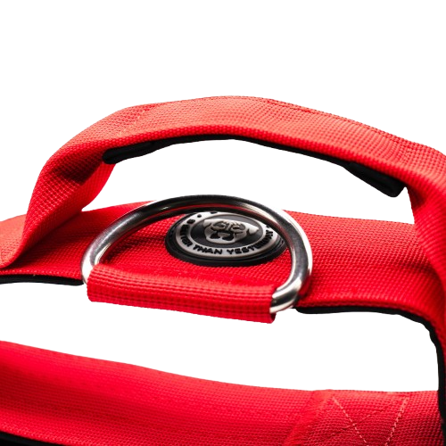 5cm Tactical Collar Red