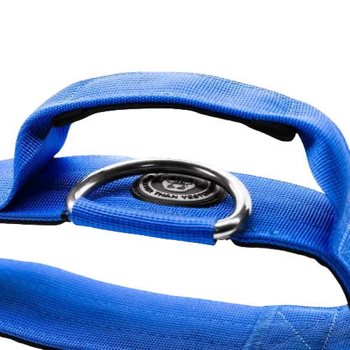 5cm Tactical Collar Blue