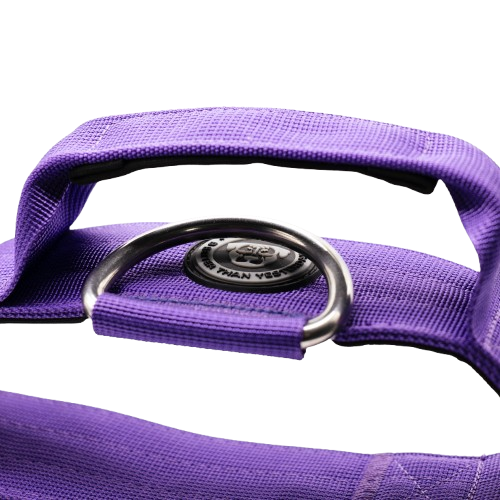 5cm Tactical Collar Purple