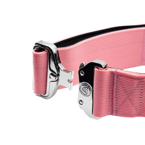 5cm Tactical Collar Pink