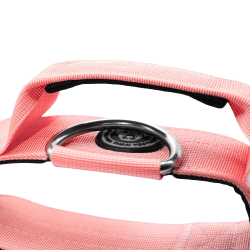 5cm Tactical Collar Pink