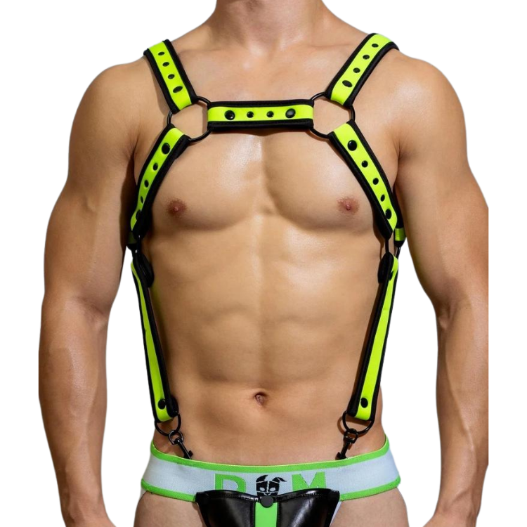Fusion Shoulder Strap Metallic Buckle Harness