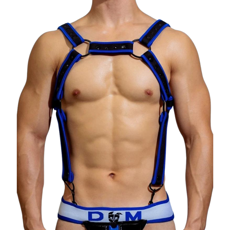 Fusion Shoulder Strap Metallic Buckle Harness