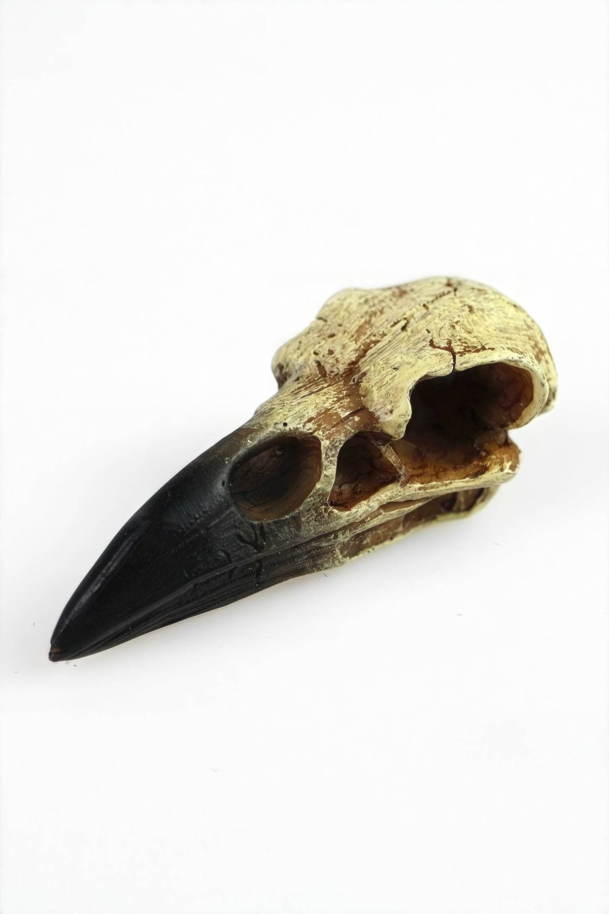 Gothic Raven Skull Pendant Necklace