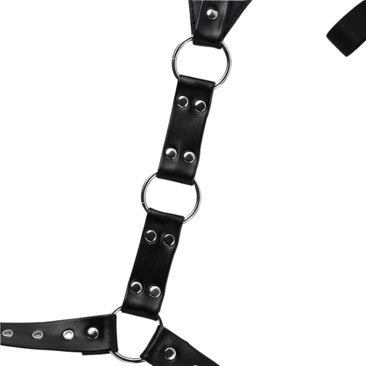 Gothic Daddy Chest Harness