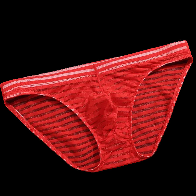 Striped Transparent Briefs