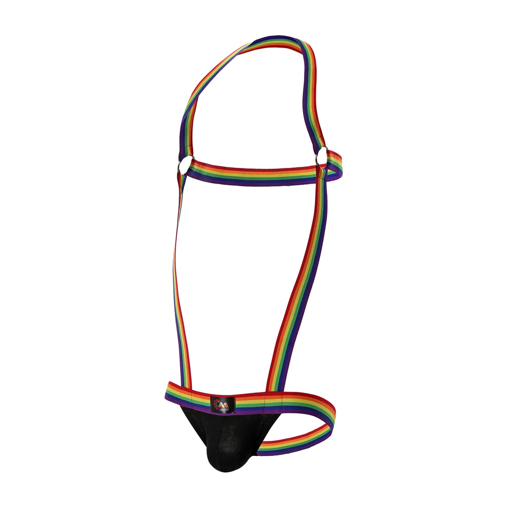 Rainbow Pride Suspender Underwear Outfit