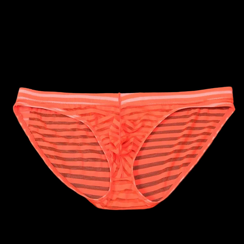 Striped Transparent Briefs