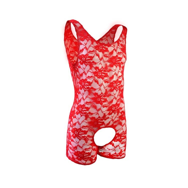 Dainty Delight Open Lace Bodysuit