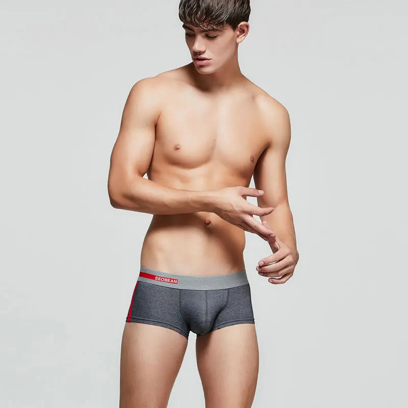 Clean-Cut Men's Boxer Briefs