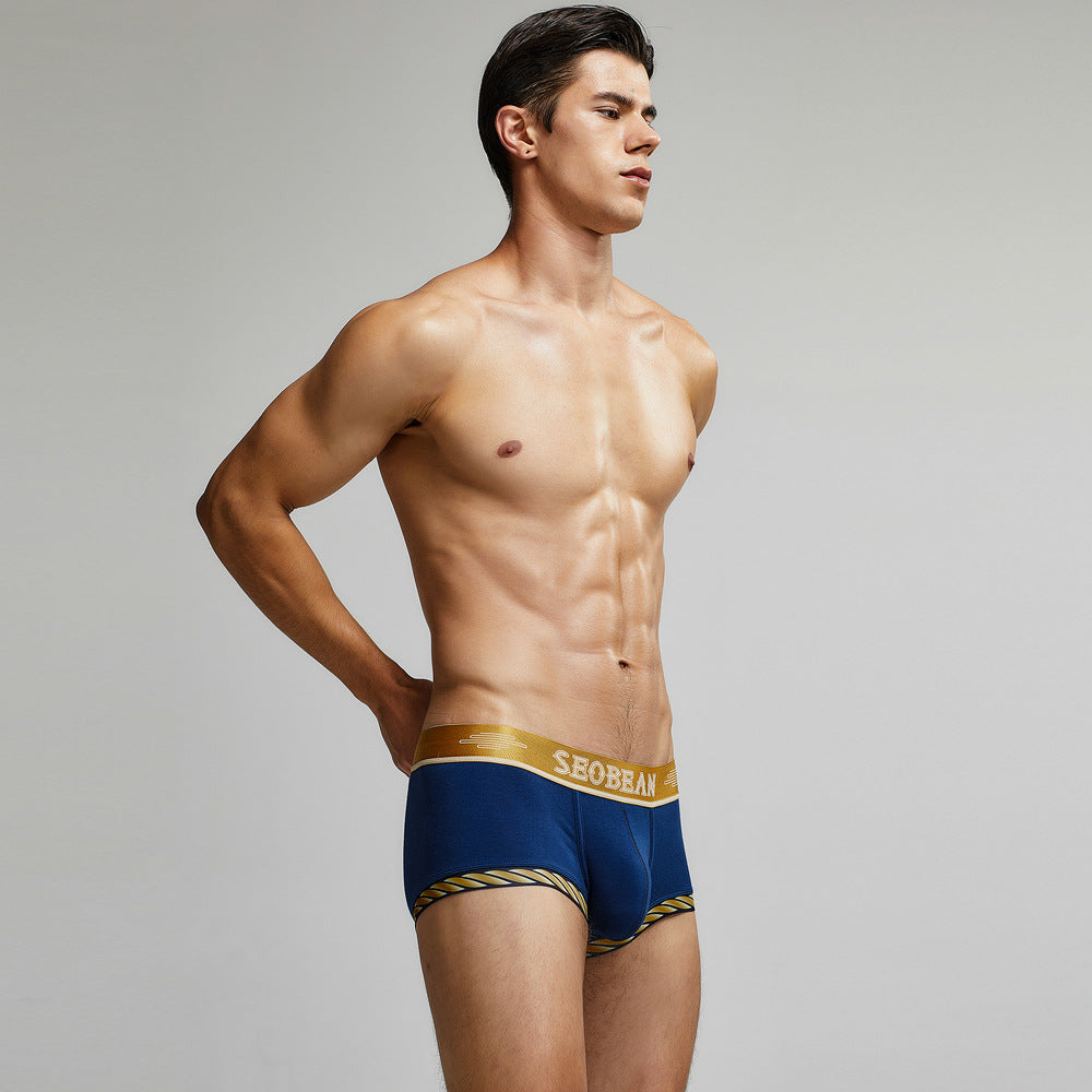 Seobean Golden Boxers