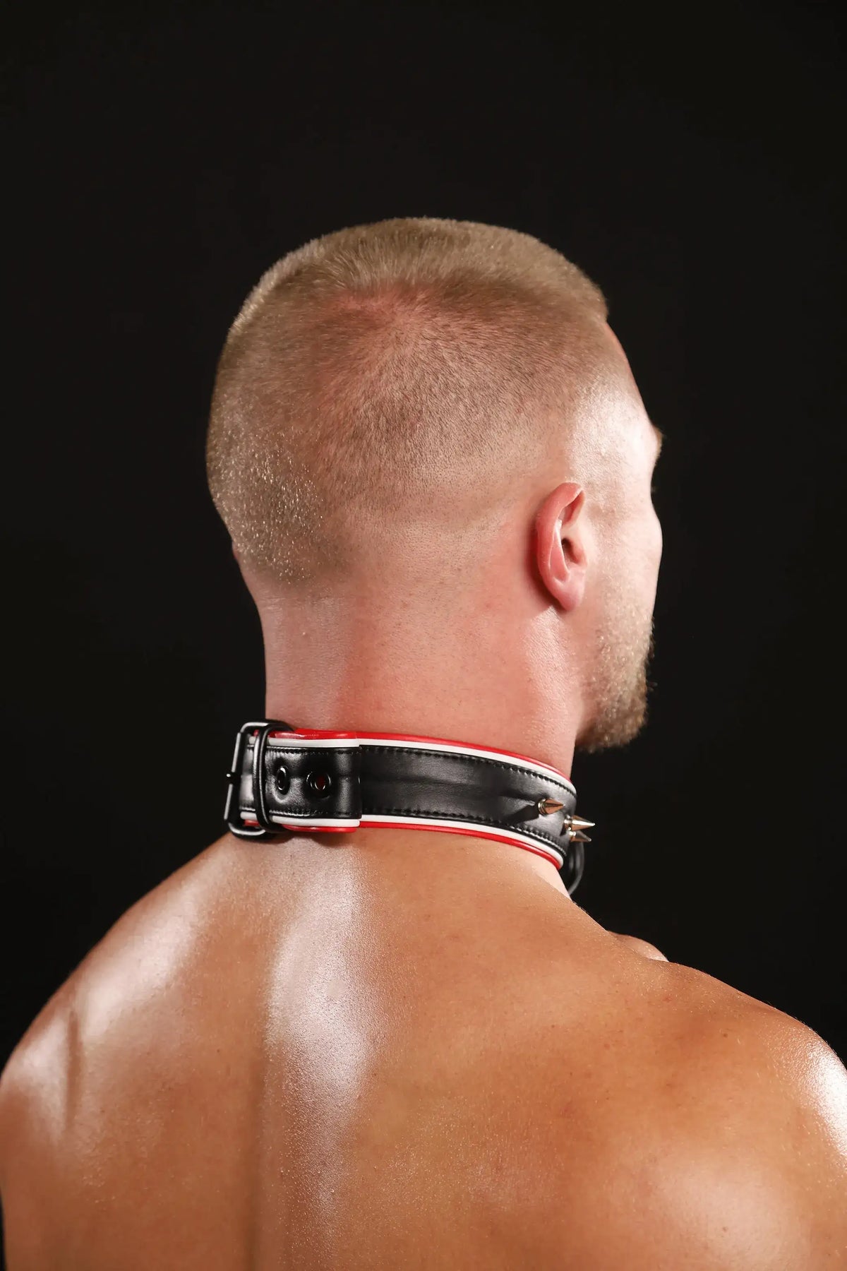 VARSITY DOG COLLAR